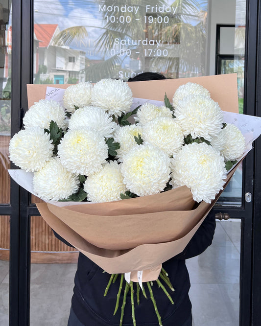 Mono Chrysanthemums