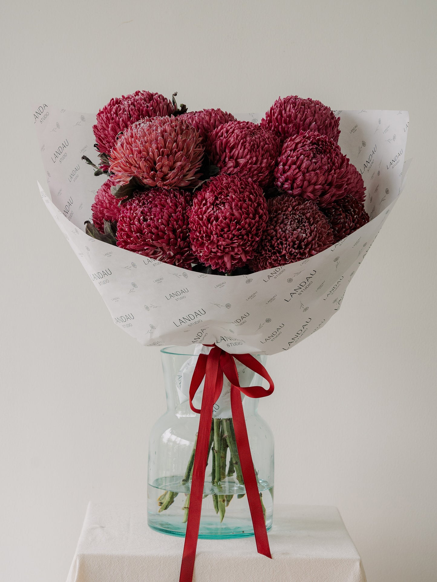 Chrysanthemum Peony Mums