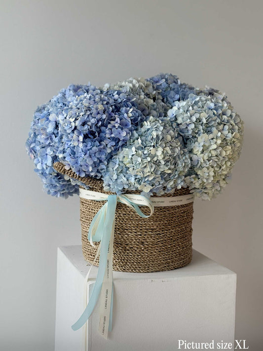 Mono Hydrangeas Basket