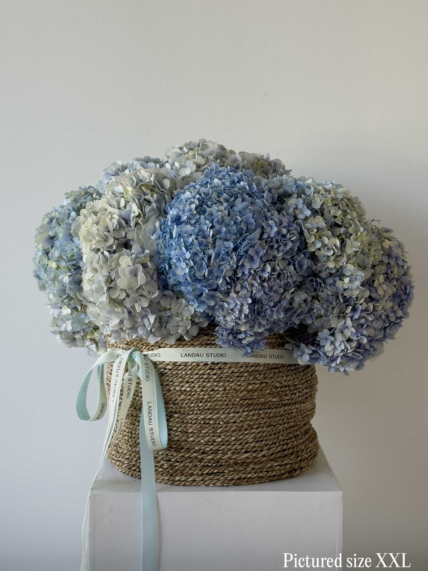 Mono Hydrangeas Basket