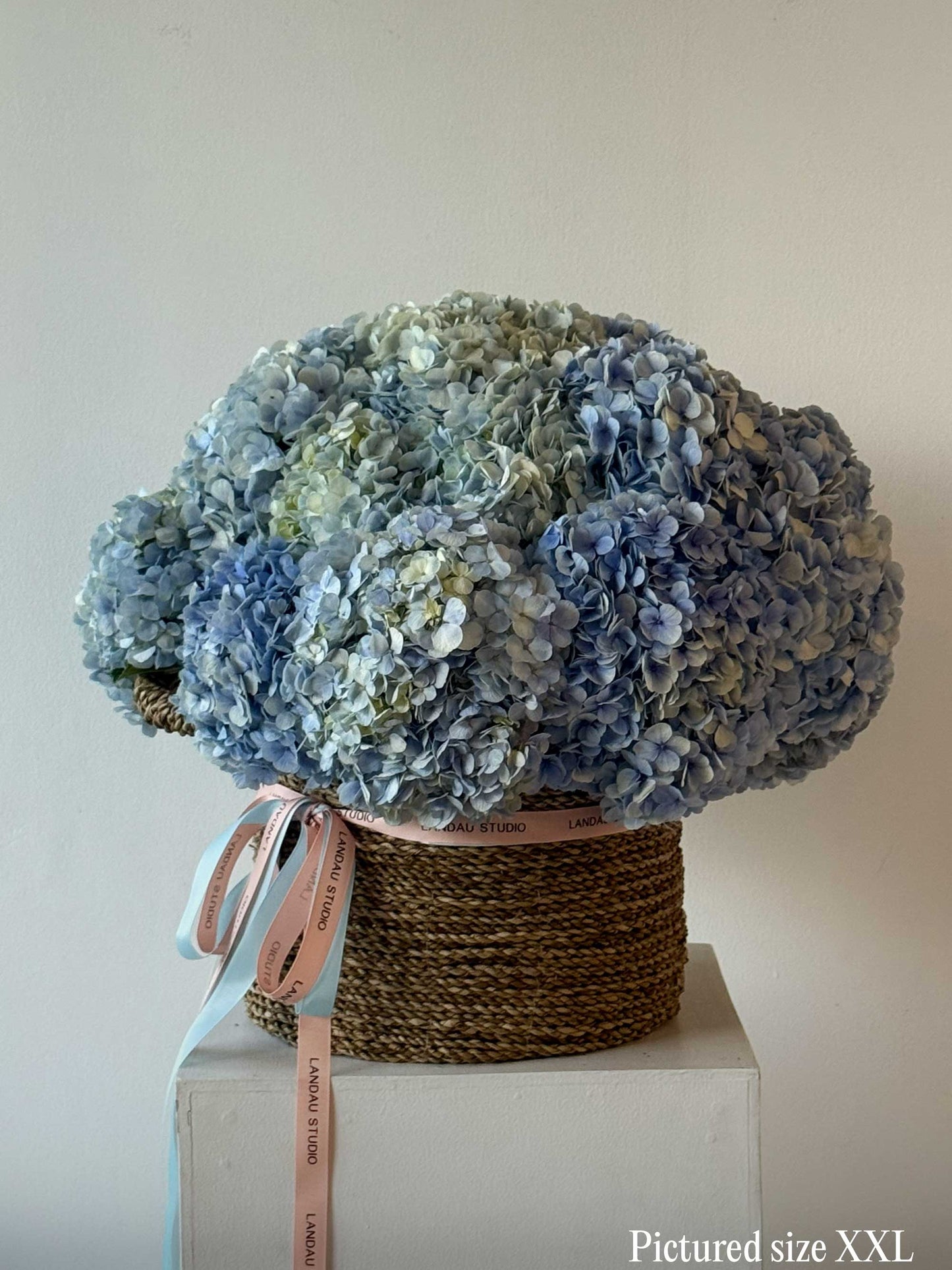 Mono Hydrangeas Basket