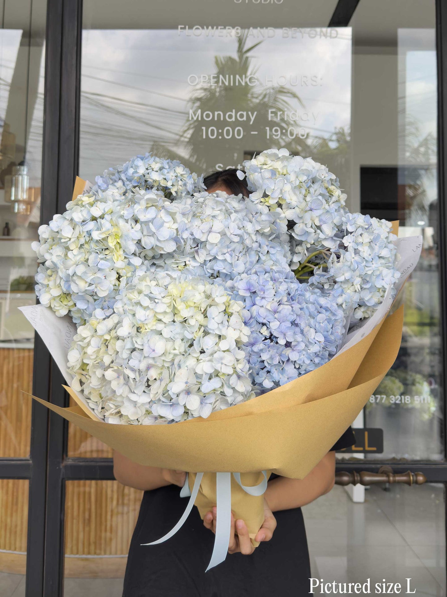 Mono Hydrangeas