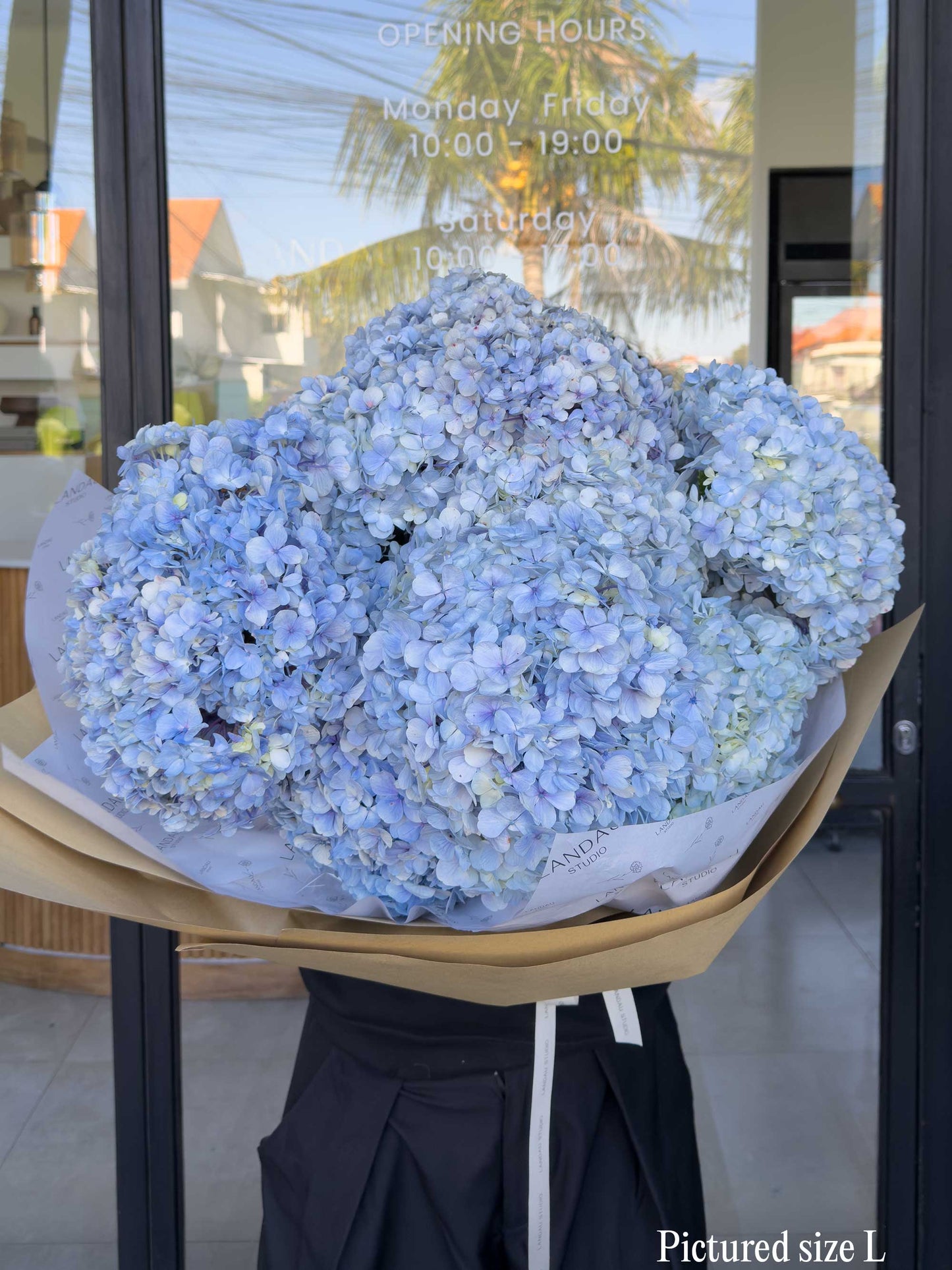 Mono Hydrangeas