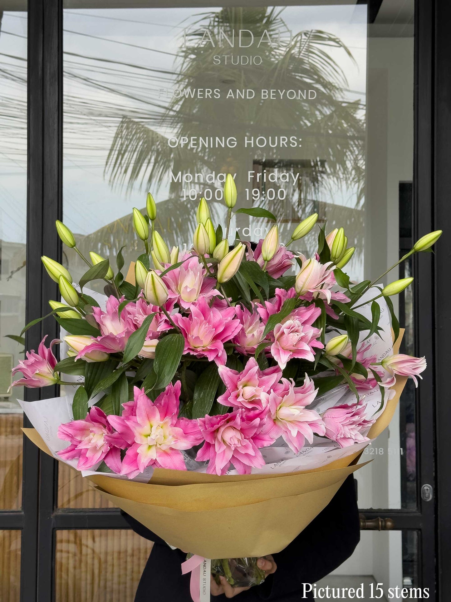 Mono Rose Lily (Double petals Lily)