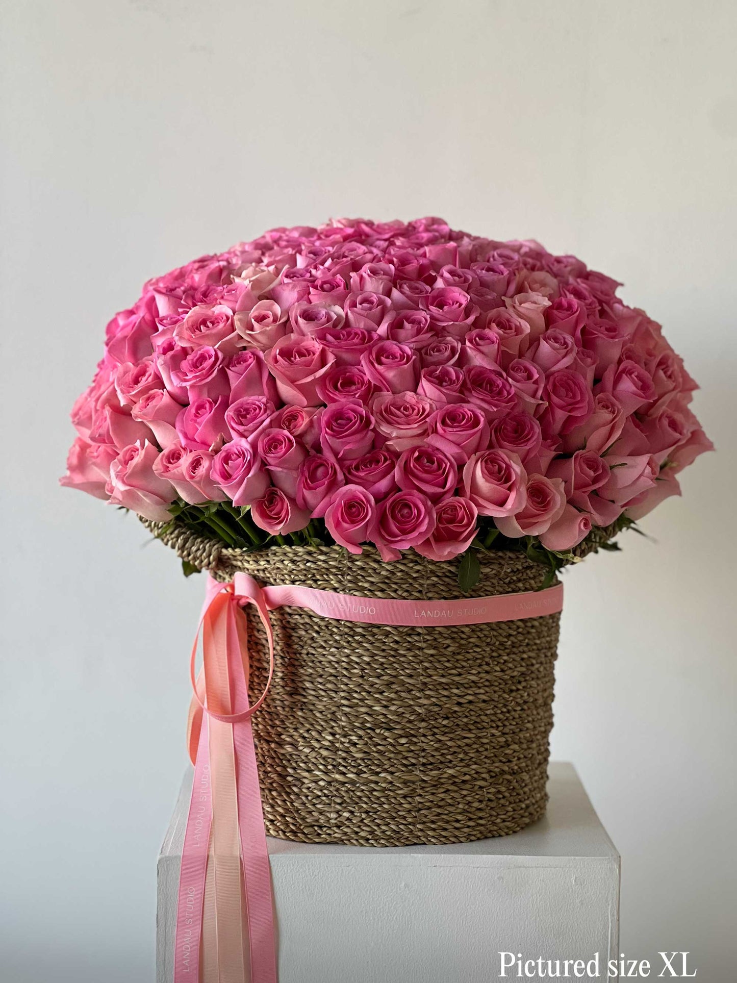 Mono Roses Box/Basket