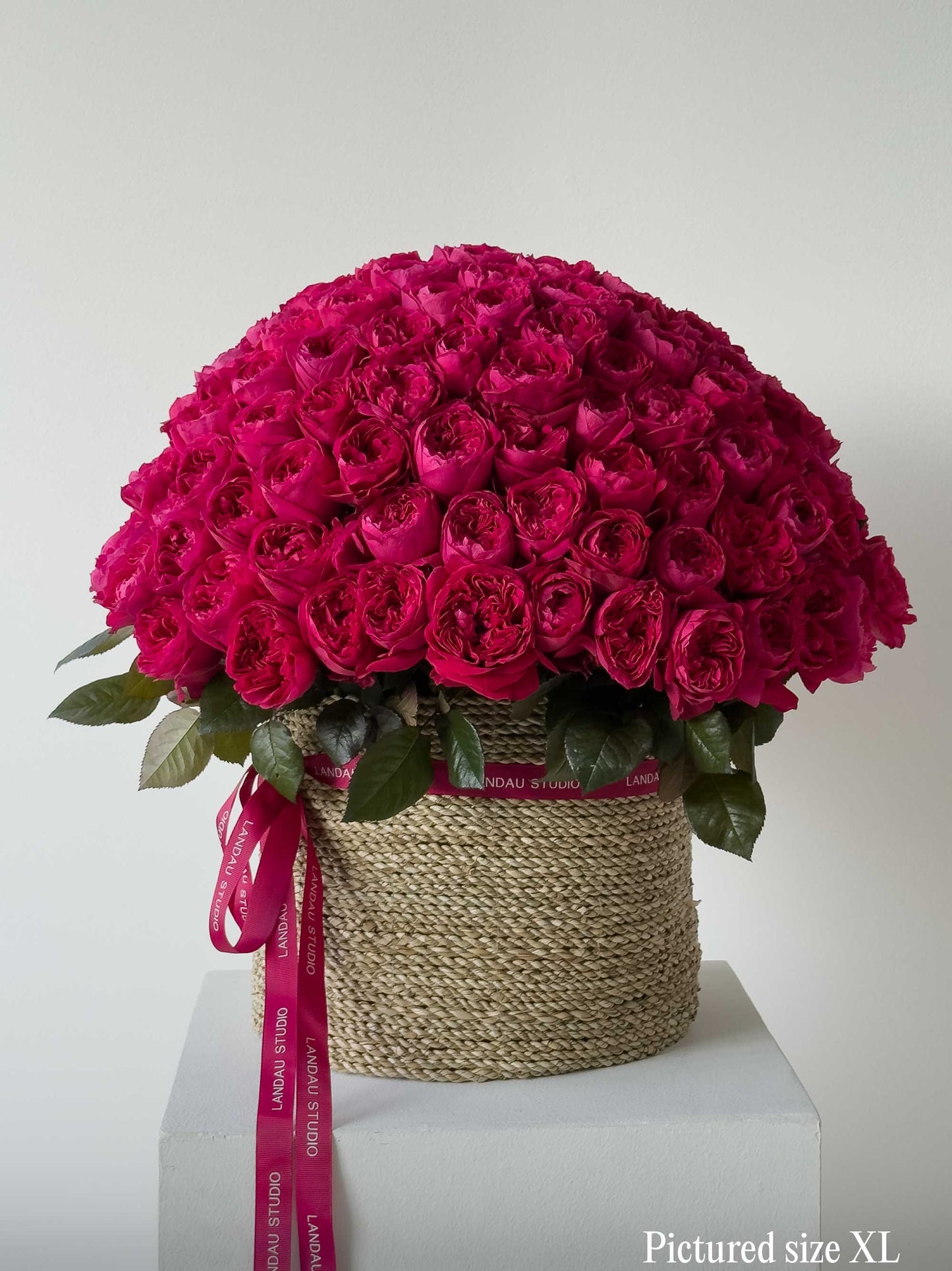 Mono Roses Box/Basket