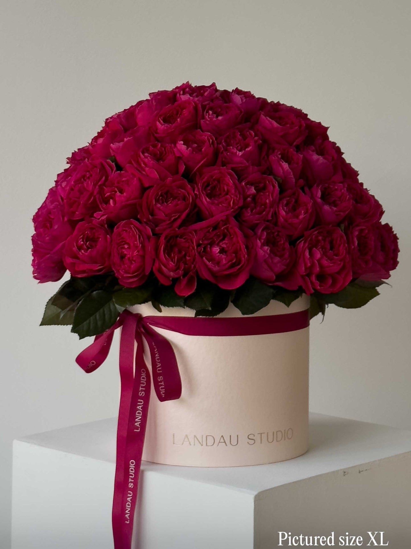 Mono Roses Box/Basket