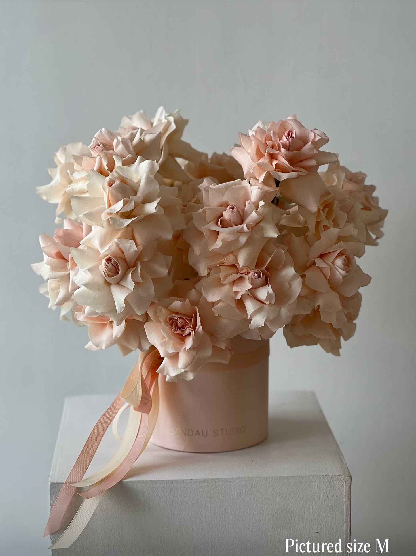 Trendy Pastel Roses