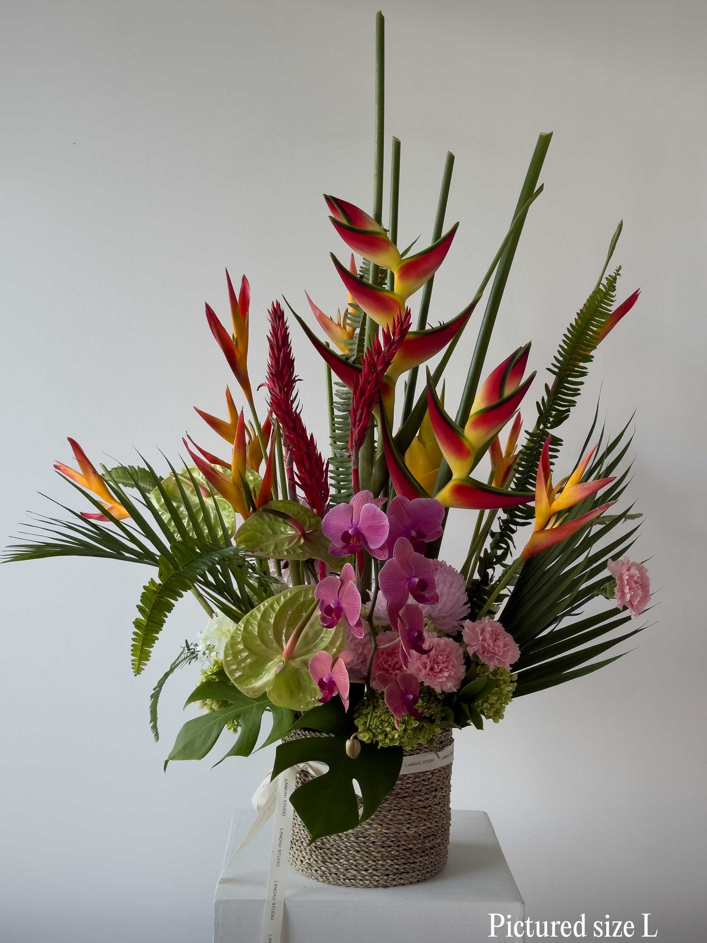 Tropical Lush Box & Basket