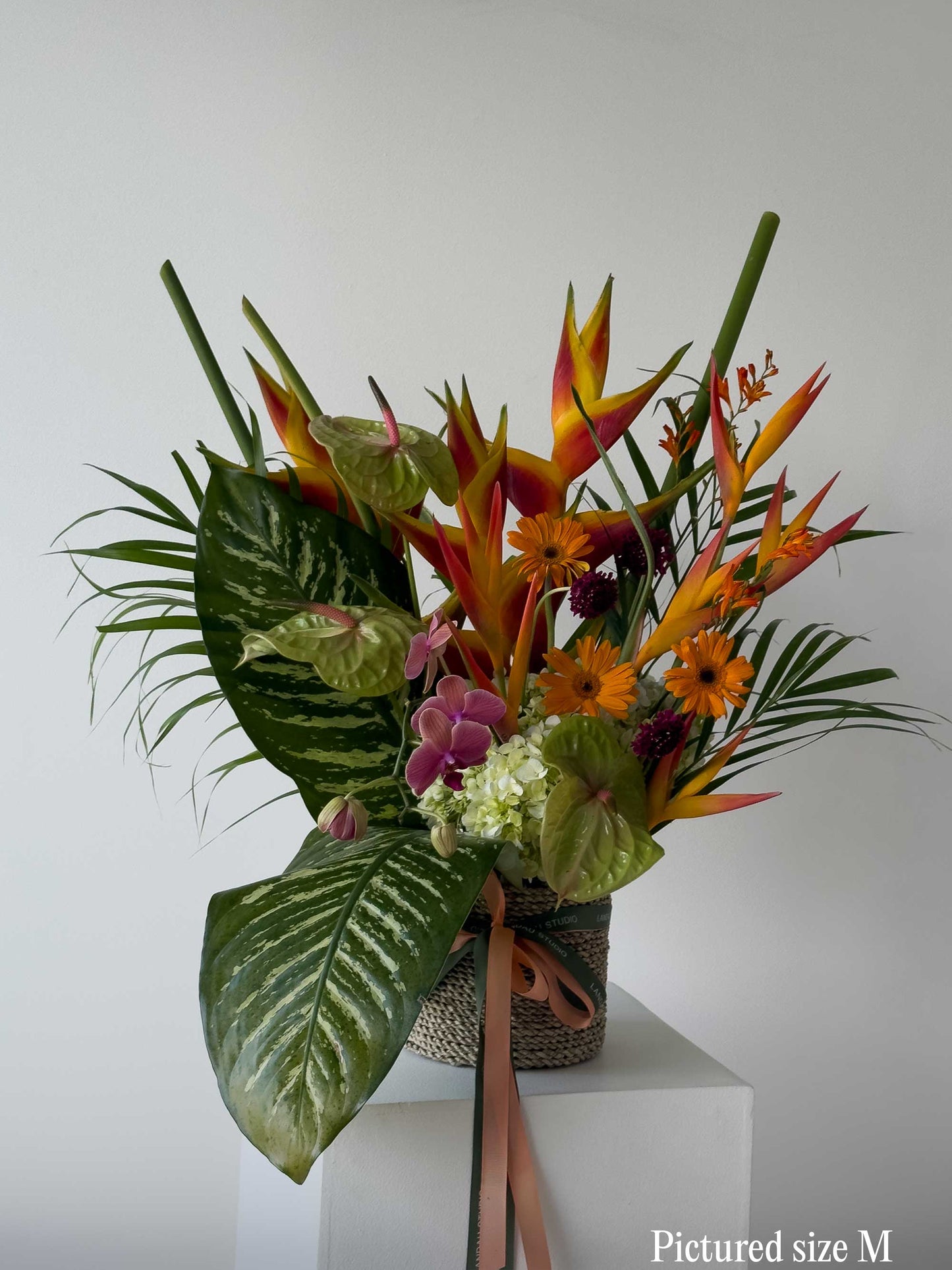 Tropical Lush Box & Basket