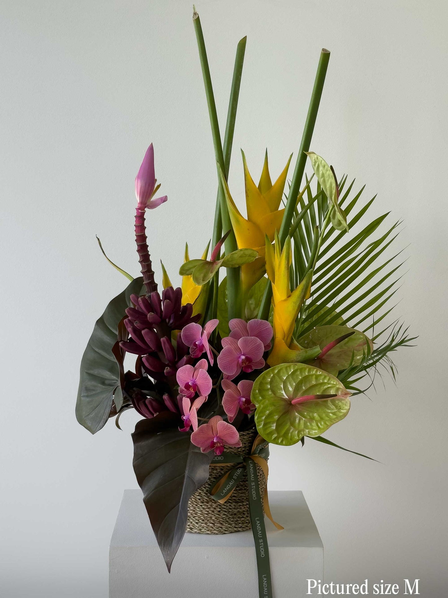 Tropical Lush Box & Basket