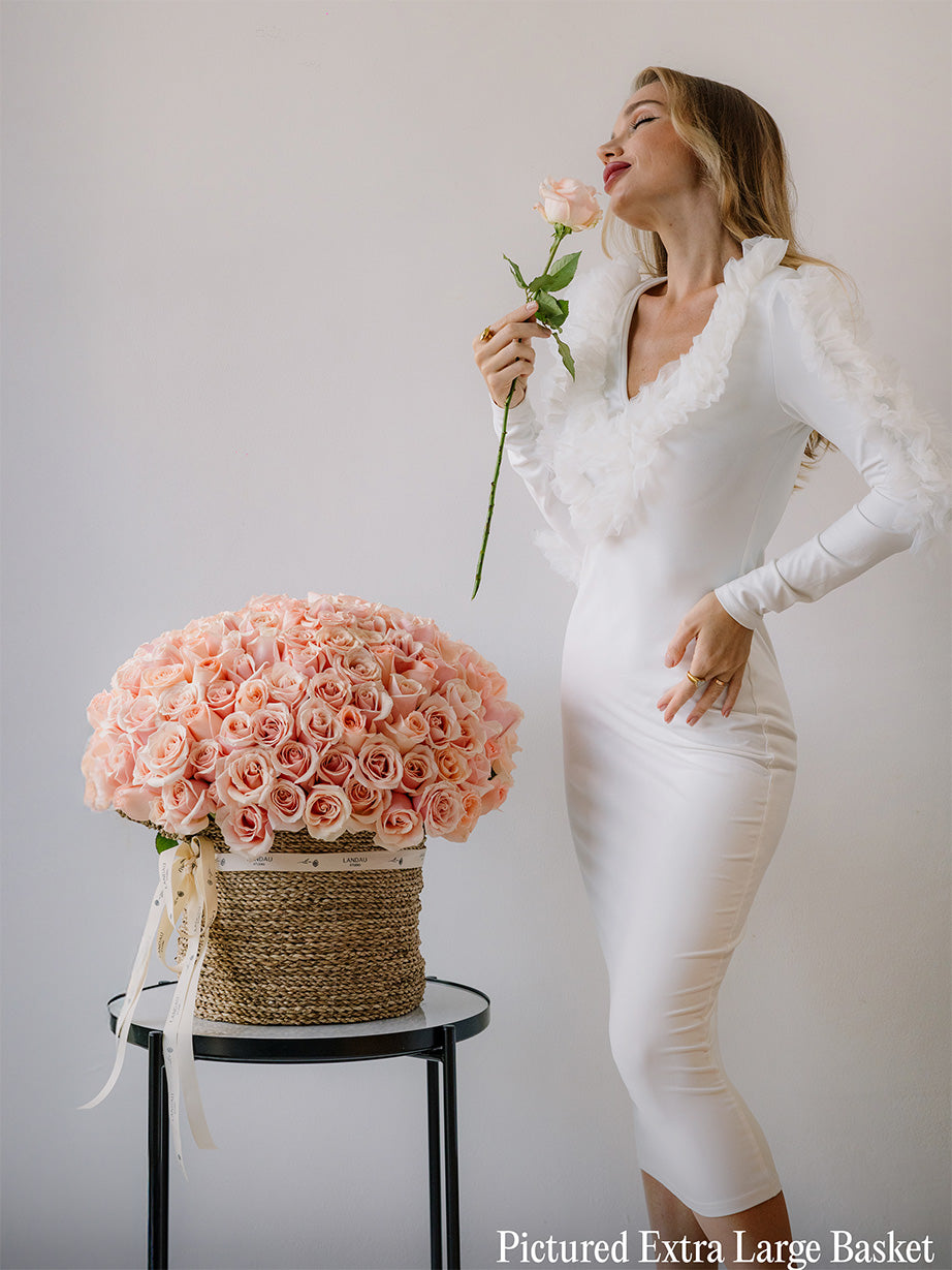 Mono Holland Roses - Pastel in a Box/Basket