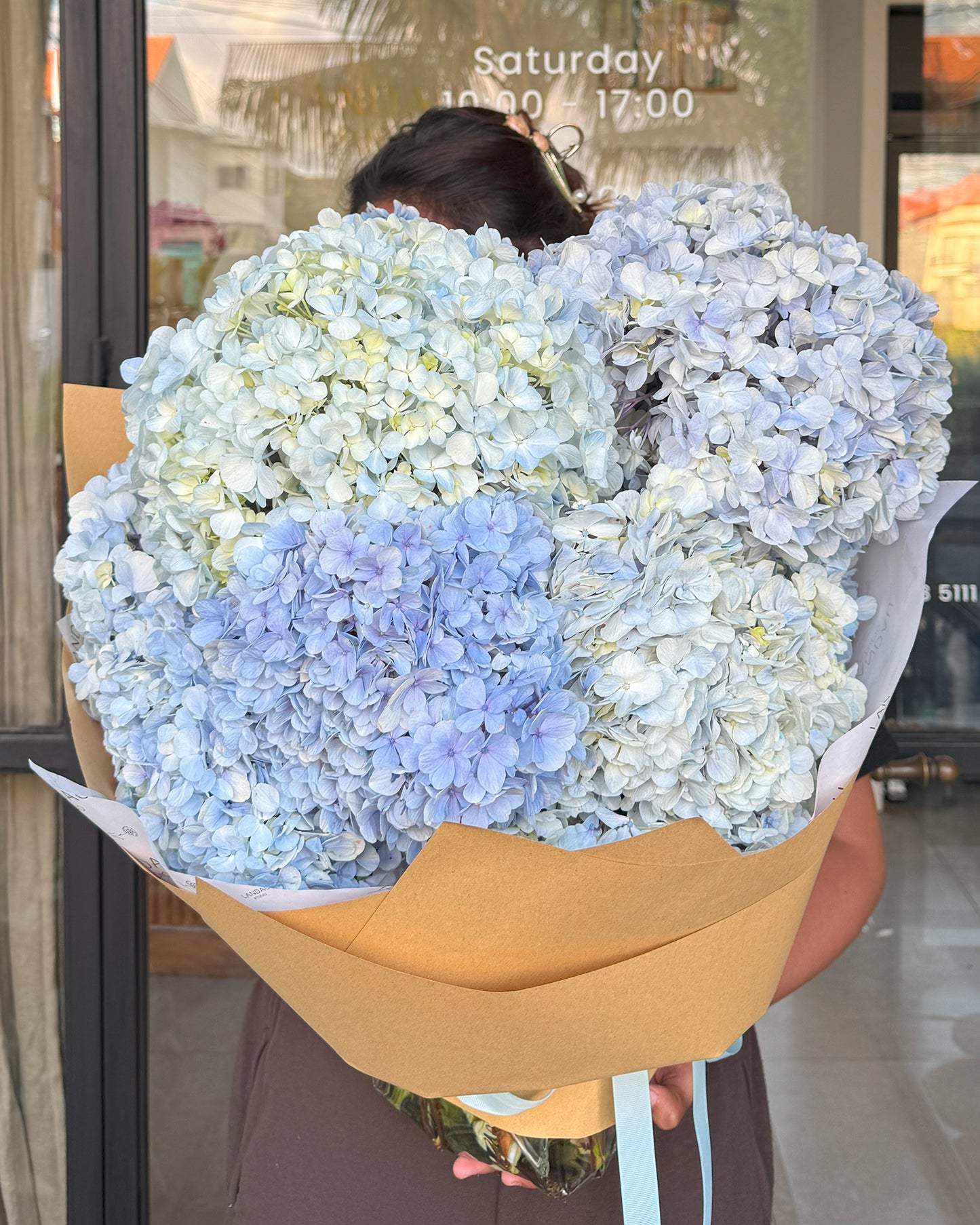 Mono Hydrangeas