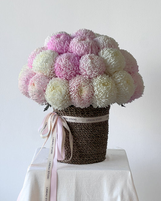 Mono Chrysanthemums Box/ Basket