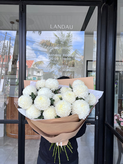 Mono Peony Mums