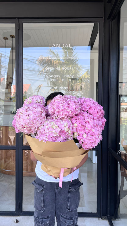 Mono Hydrangeas