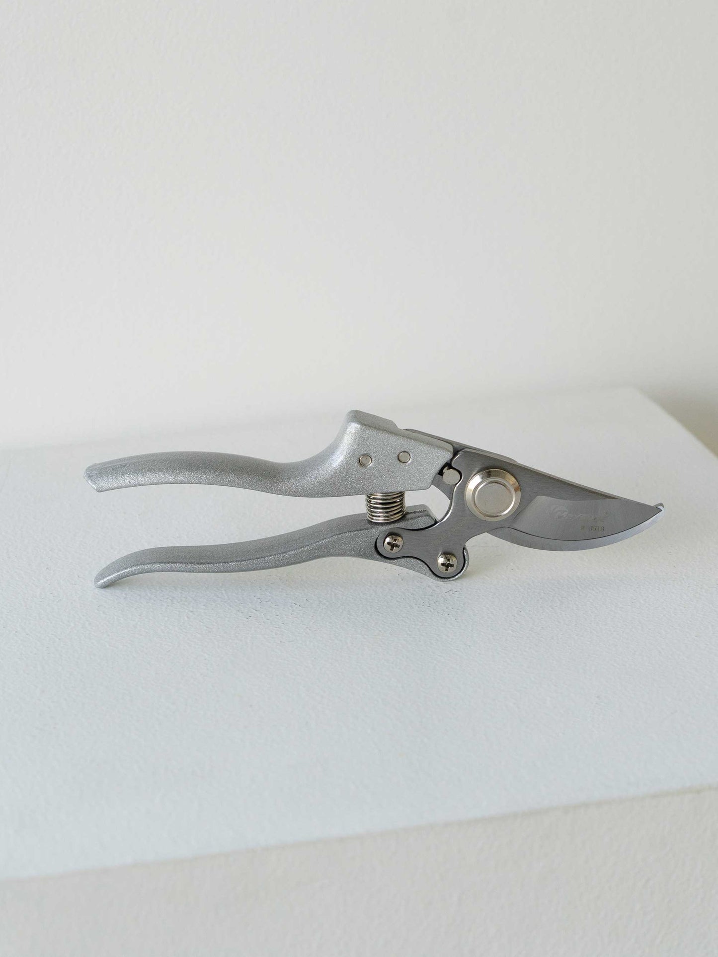 Silver Secateurs