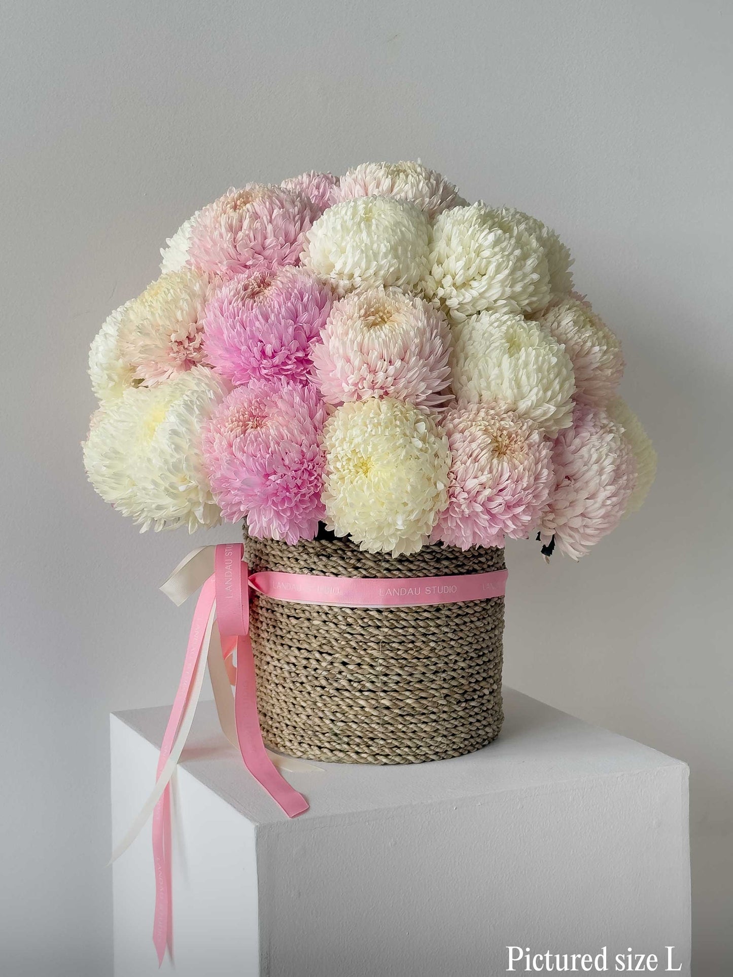 Mono Chrysanthemums Box/ Basket