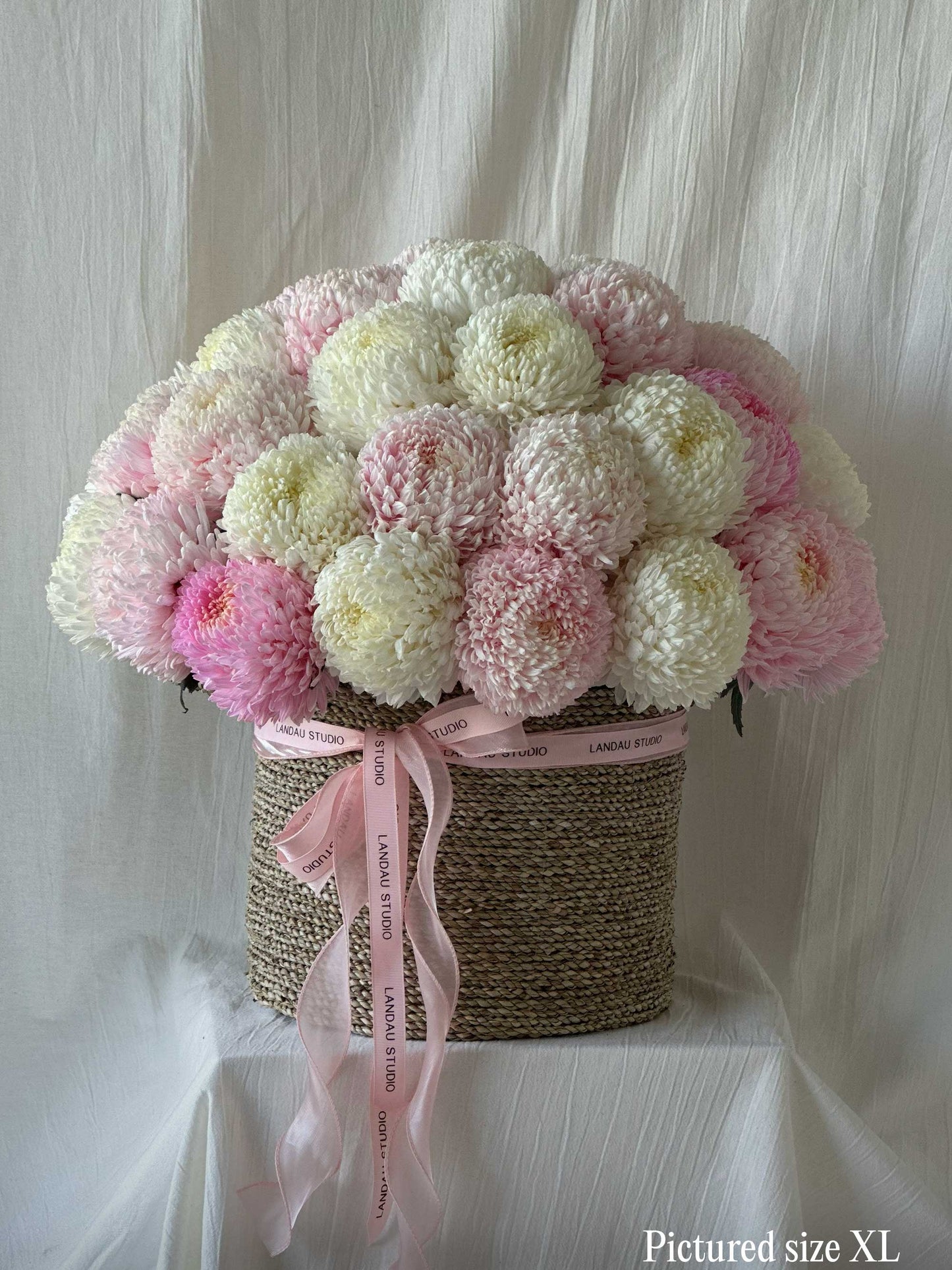 Mono Chrysanthemums Box/ Basket