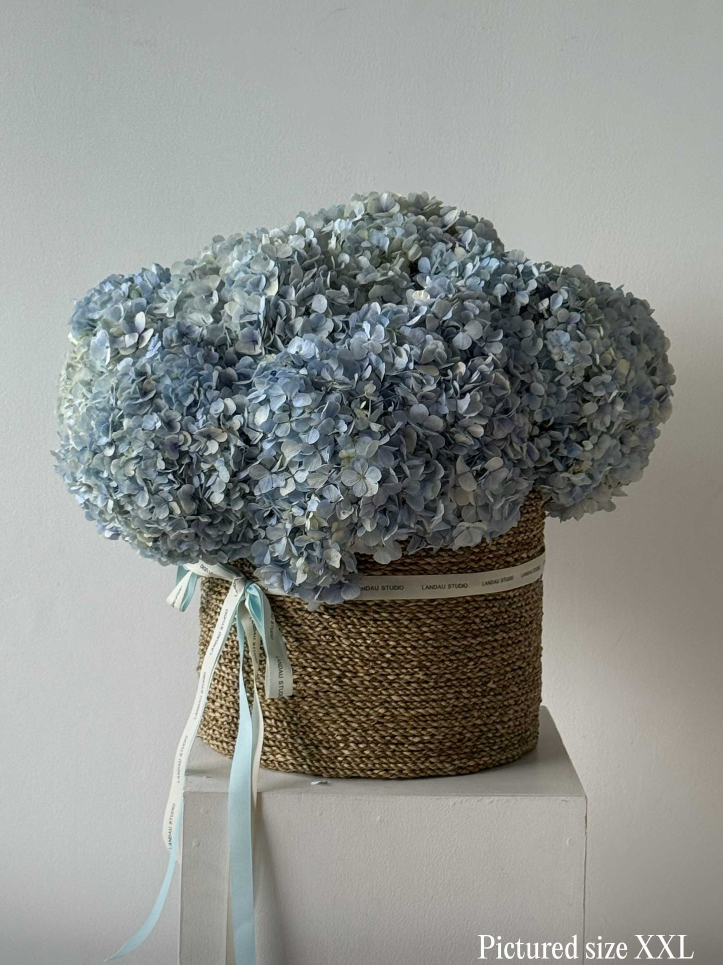 Mono Hydrangeas Basket
