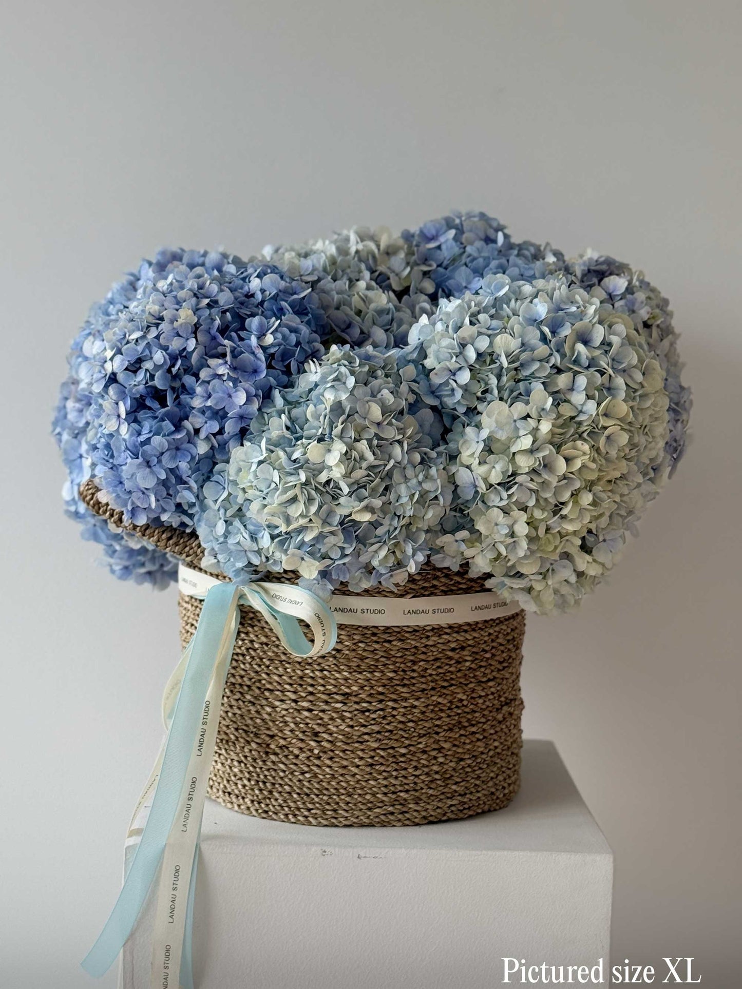 Mono Hydrangeas Basket