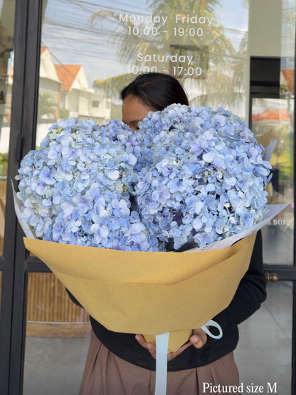 Mono Hydrangeas