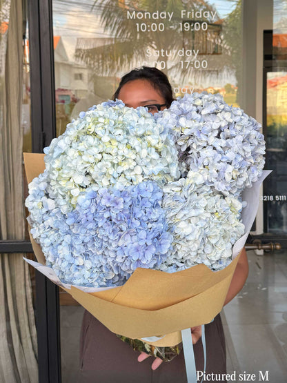 Mono Hydrangeas