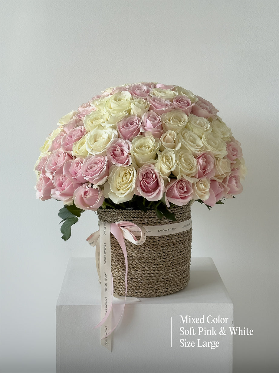 Mono Roses Box/Basket