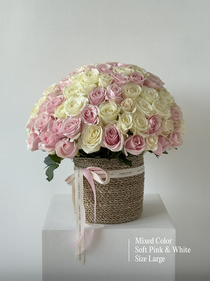 Mono Roses Box/Basket