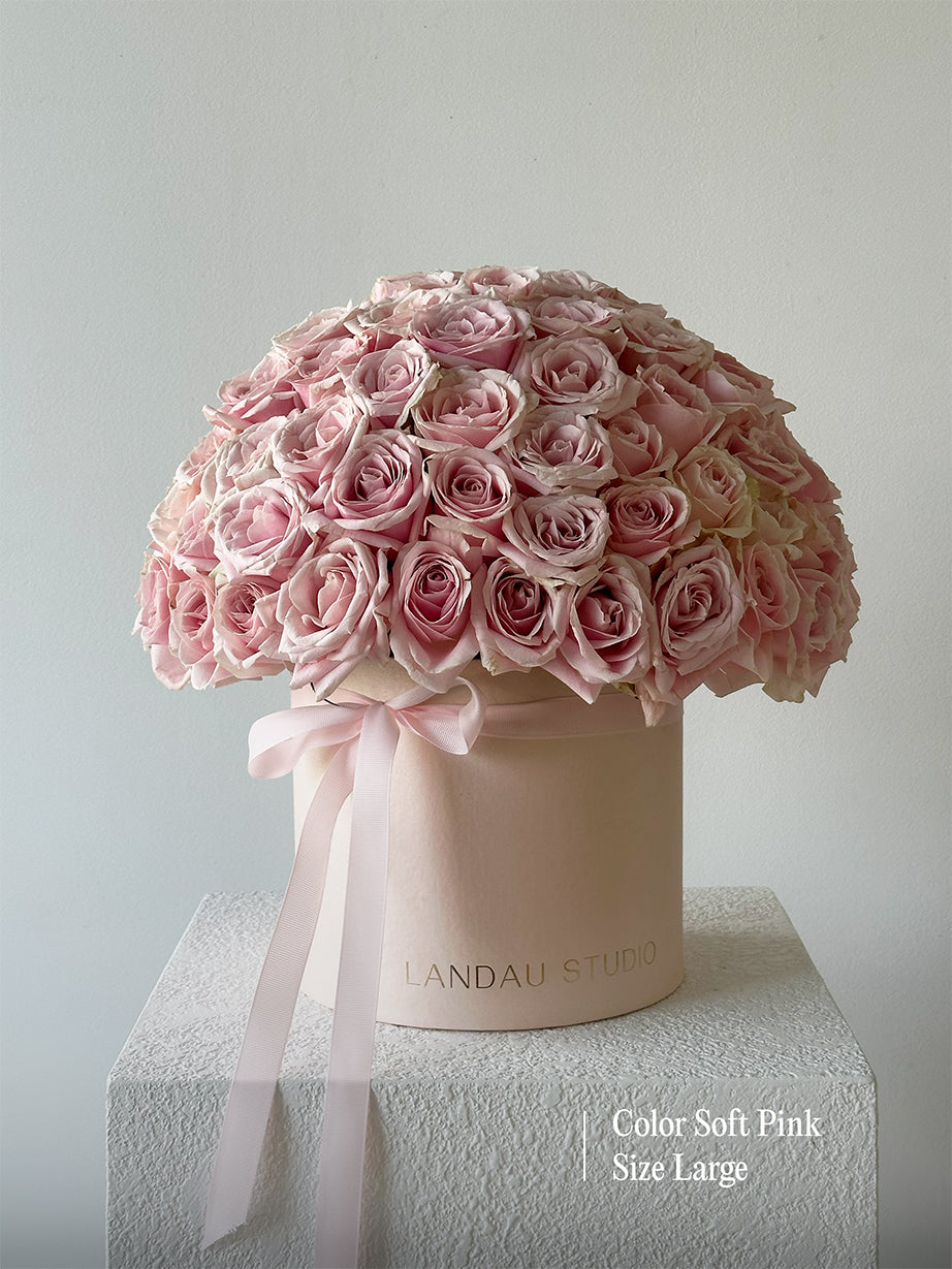 Mono Roses Box/Basket