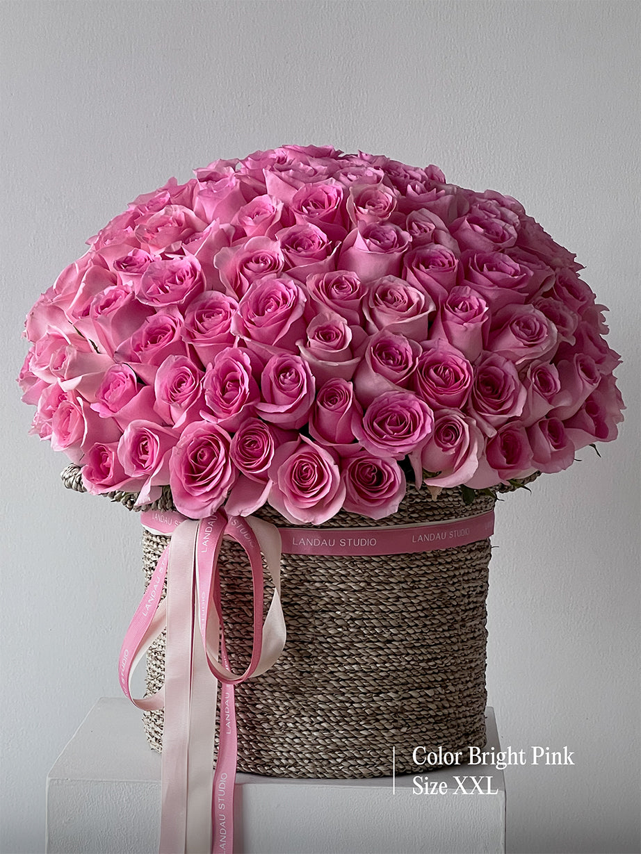 Mono Roses Box/Basket
