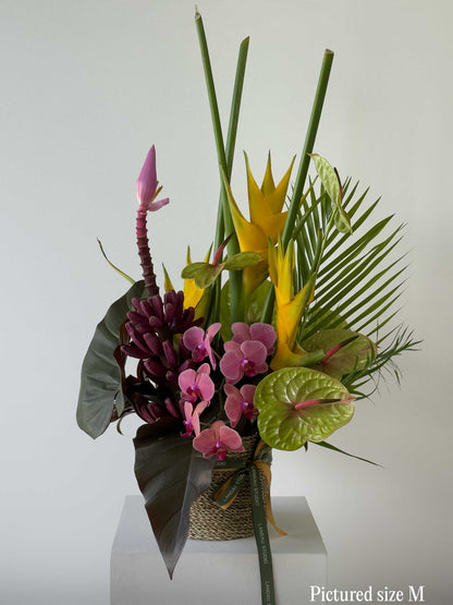 Tropical Lush Box & Basket