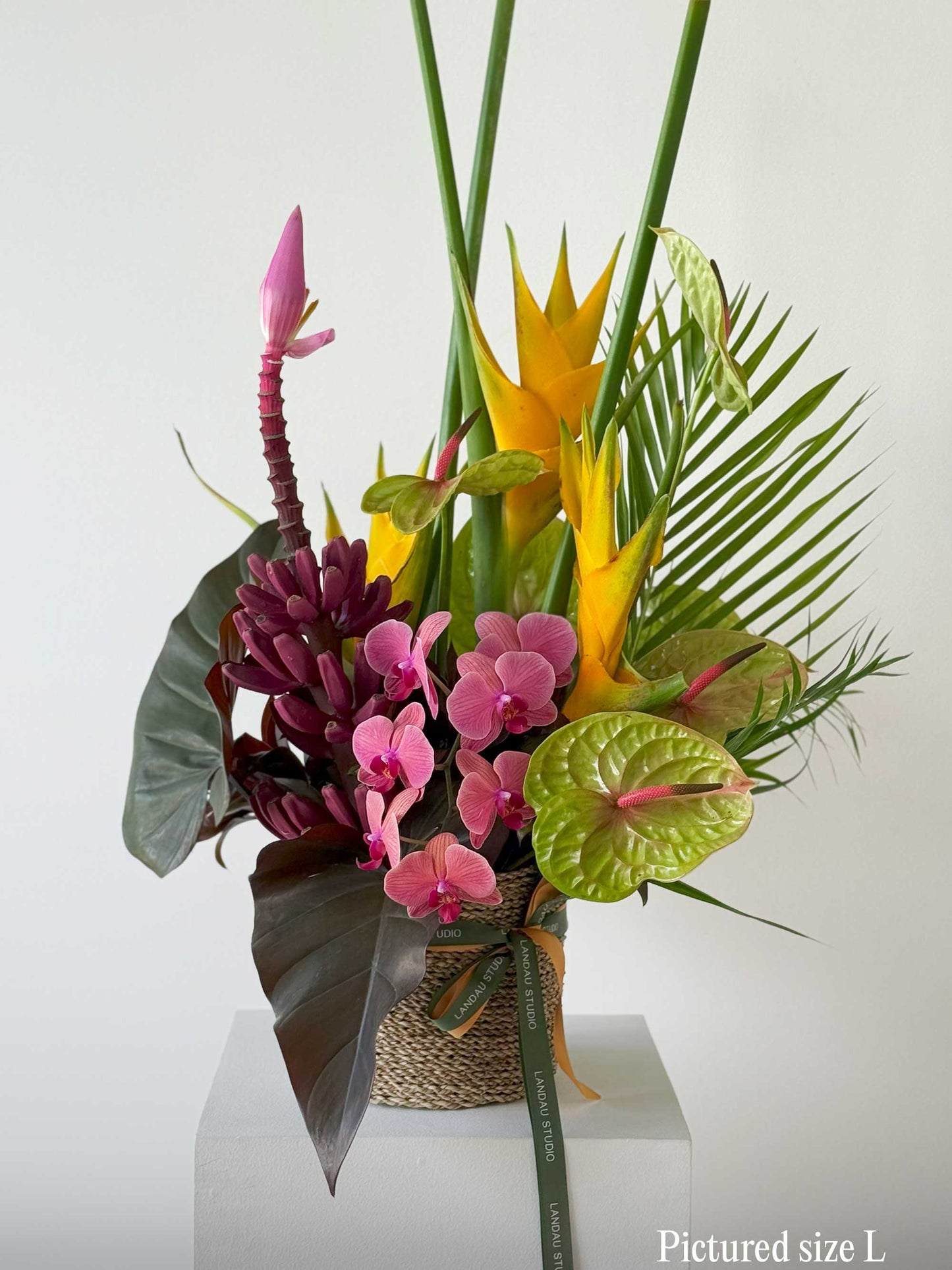 Tropical Lush Box & Basket