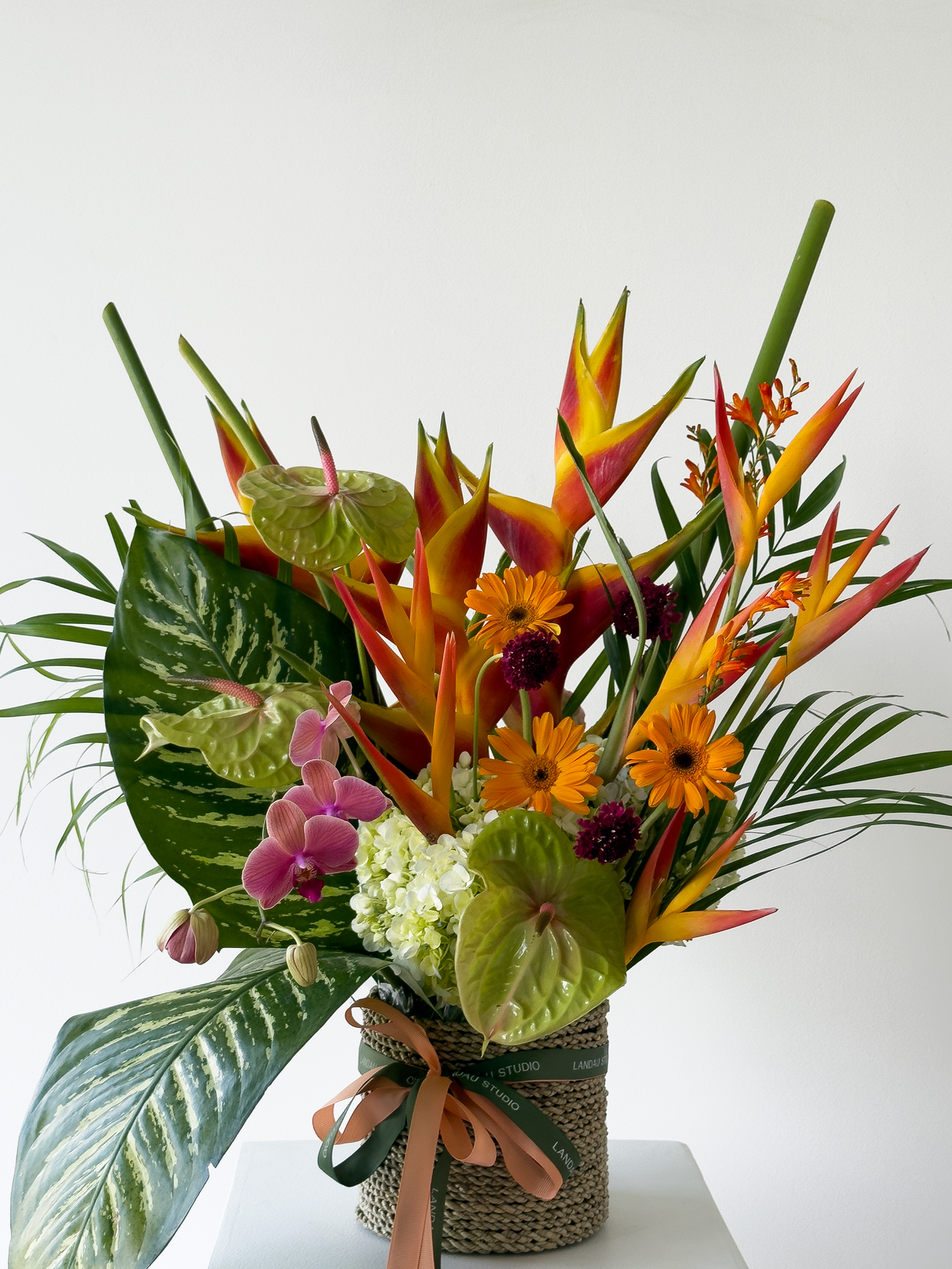 Tropical Lush Box & Basket