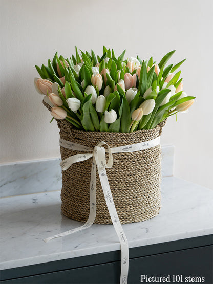 Tulips in a Basket