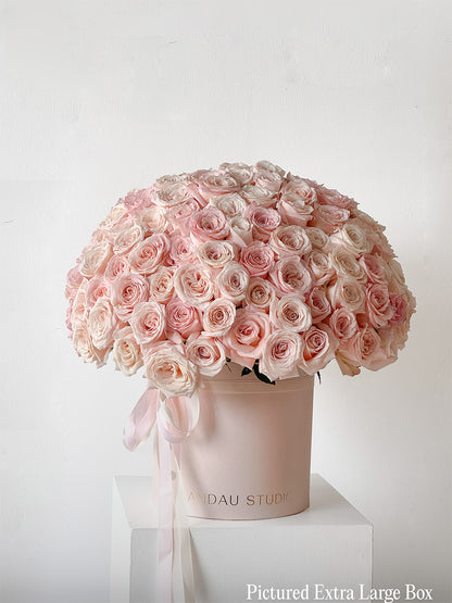 Mono Holland Roses - Pastel in a Box/Basket