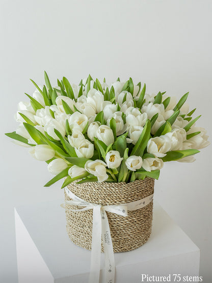 Tulips in a Basket