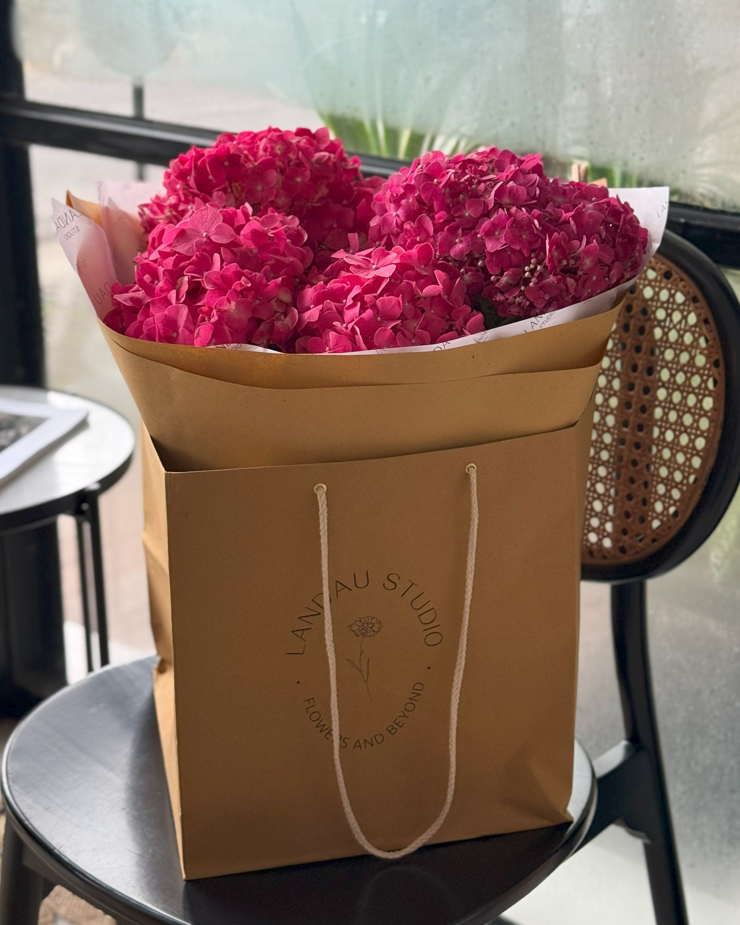 Mono Hydrangeas